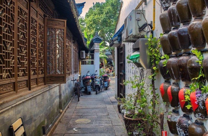 逃出比利树屋